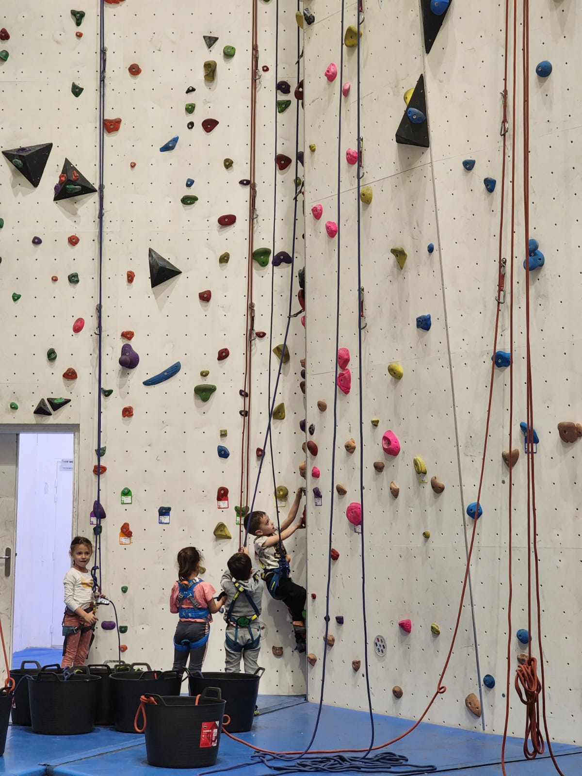 PHOTO-2024-10-28-19-54-48